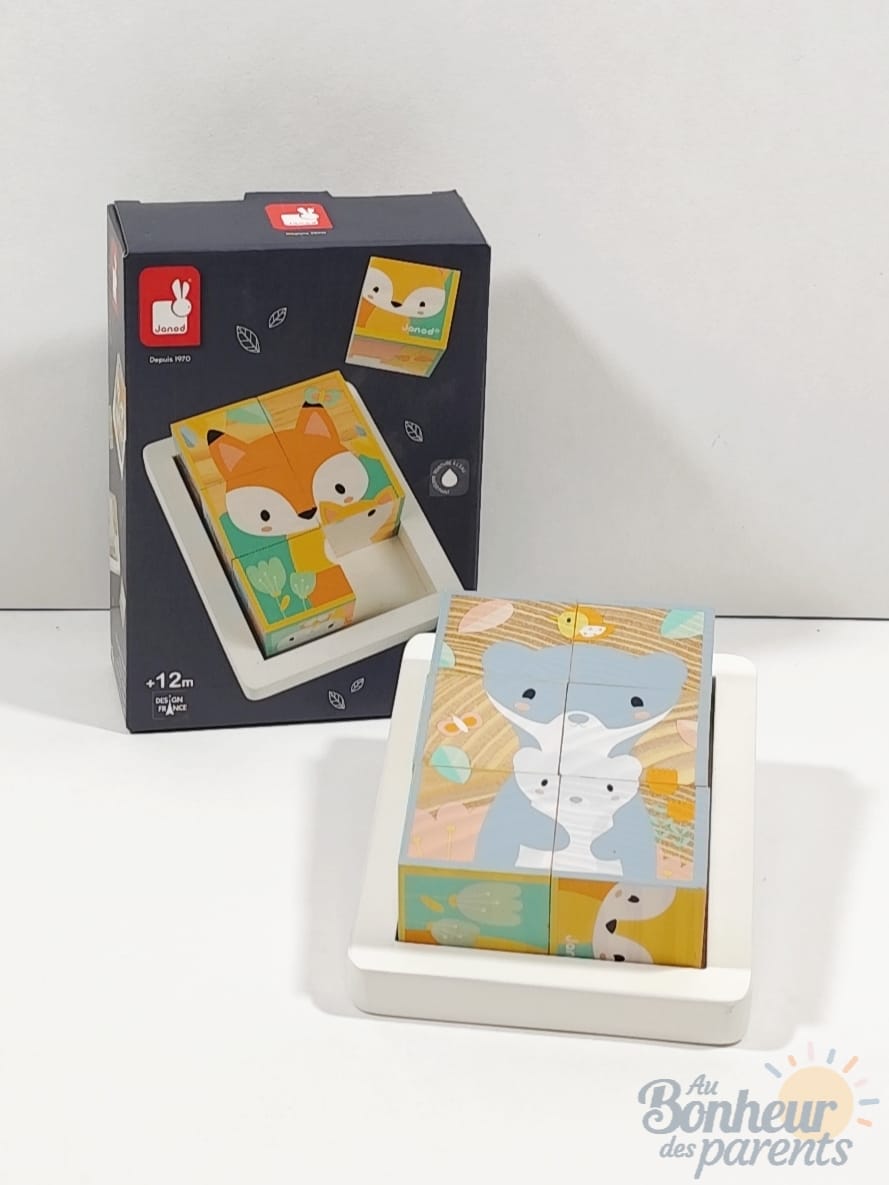 Puzzle 6 cubes